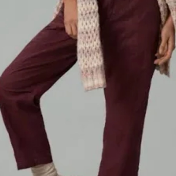 NWT Anthropologie Pilcro The Wanderer coated relaxed fit pants size 32P. - Picture 2 of 10